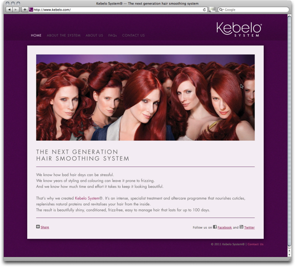 kebelo system web site design home page