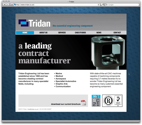 tridan web site design home page