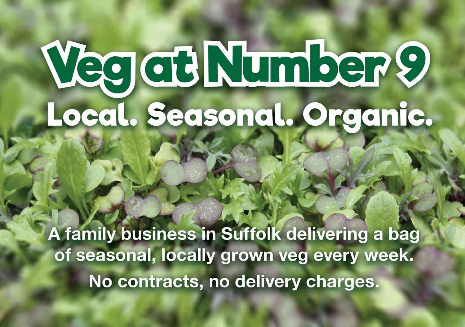 Veg at Number 9 flyer design front