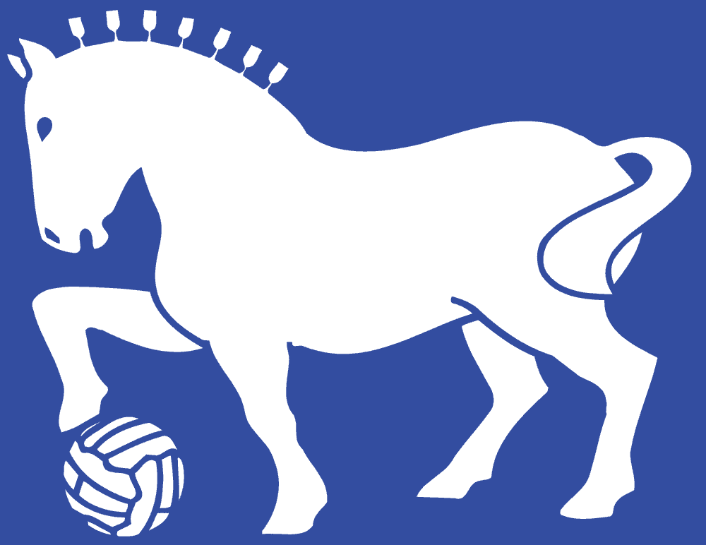 Detail of ITFC horse
